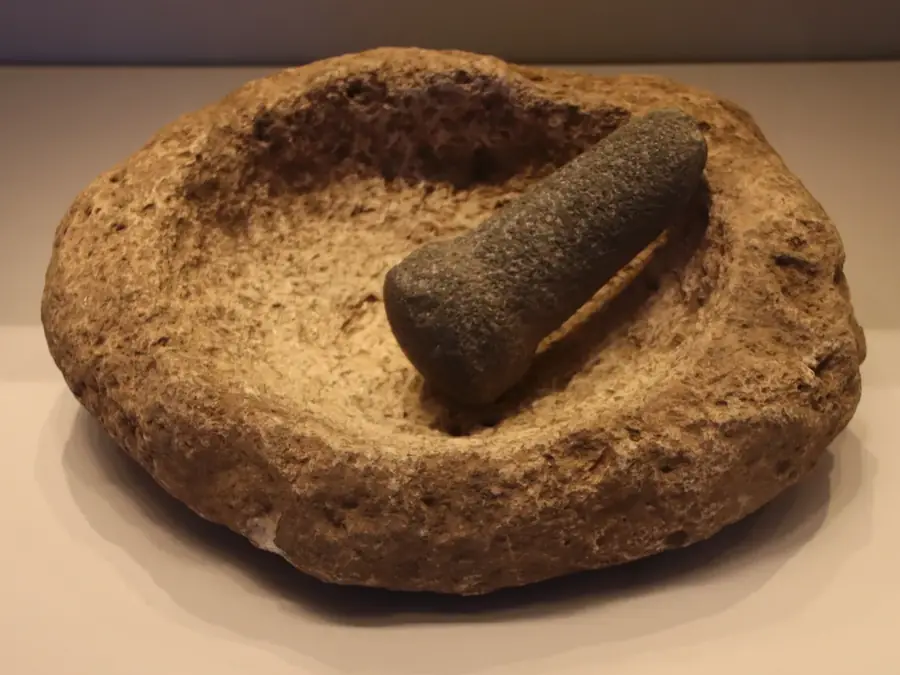 A shallow basalt mortar with its stone pestle
